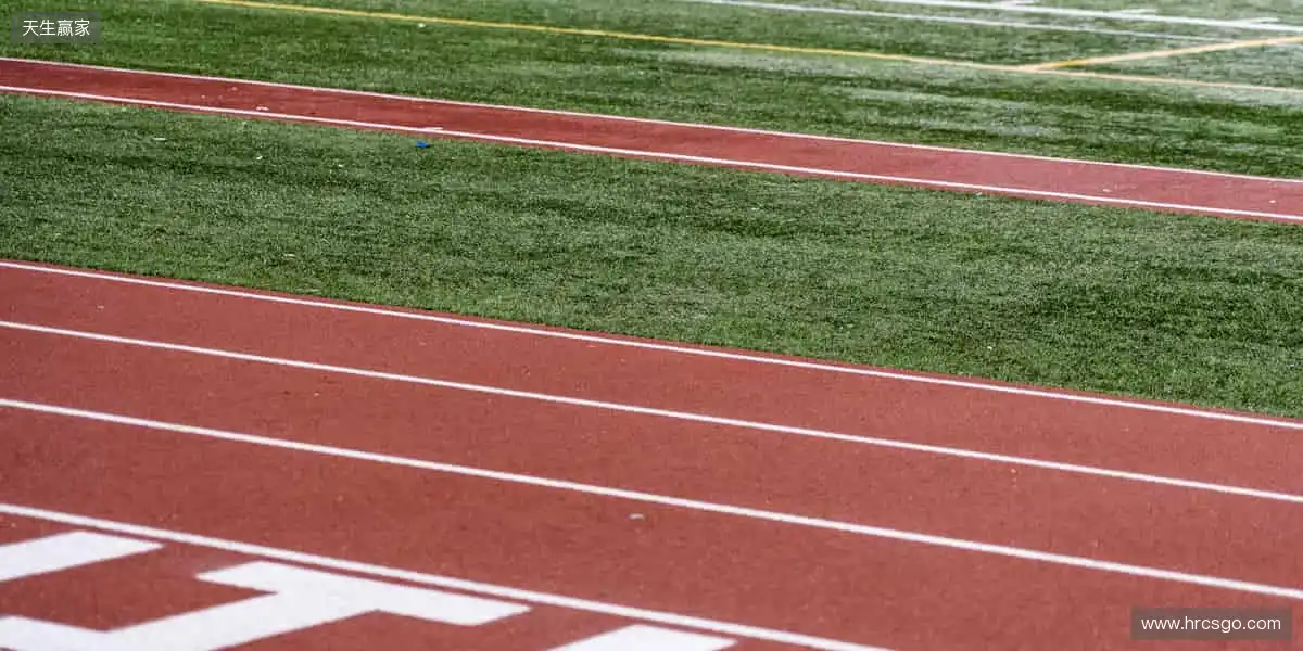 🏆巅峰对决,见证冠军诞生的荣耀瞬间!🏅